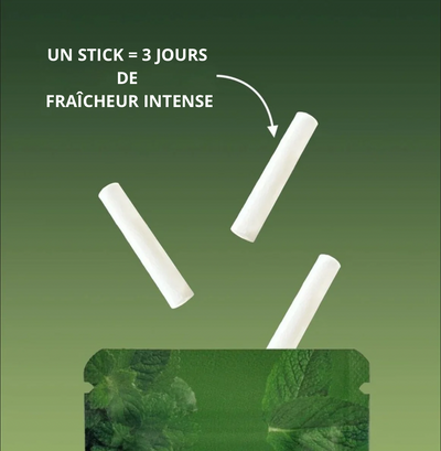 MENTHE — fraîcheur pure